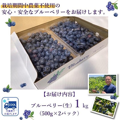 完熟ブルーベリー　500g×2パックセット