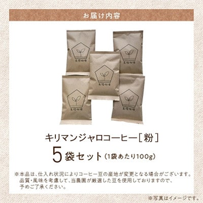 五稜農園自家焙煎 キリマンジャロ コーヒー(粉タイプ)100g×5袋セット 香り豊かな本格珈琲