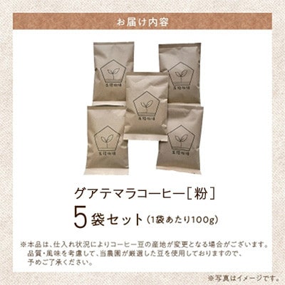 五稜農園自家焙煎 グアテマラコーヒー(粉タイプ)100g×5袋セット 香り豊かな本格珈琲