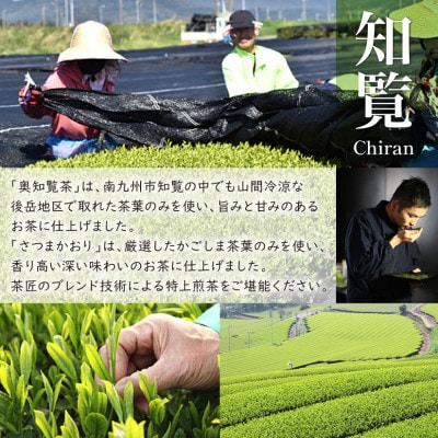 【新茶】知覧茶初摘み3本入