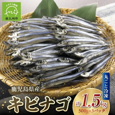 鹿児島県産キビナゴ丸ごと冷凍1.5kg 008-65