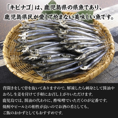 鹿児島産「キビナゴ」刺身用80尾 008-66