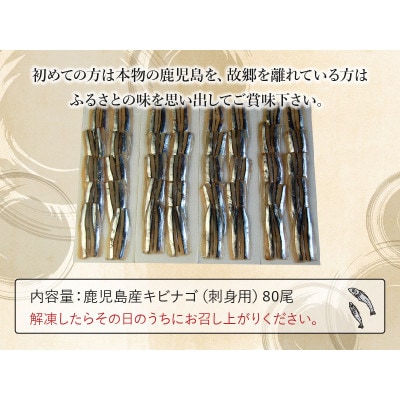 鹿児島産「キビナゴ」刺身用80尾 008-66