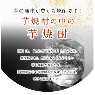 焼酎「寿」1.8L×2本 008-63