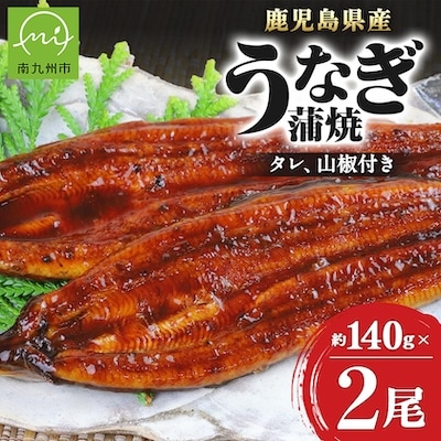 鹿児島県産うなぎ蒲焼2尾 008-55