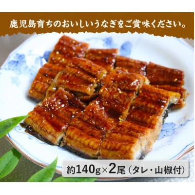 鹿児島県産うなぎ蒲焼2尾 008-55