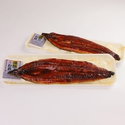 鹿児島県産うなぎ蒲焼2尾 008-55