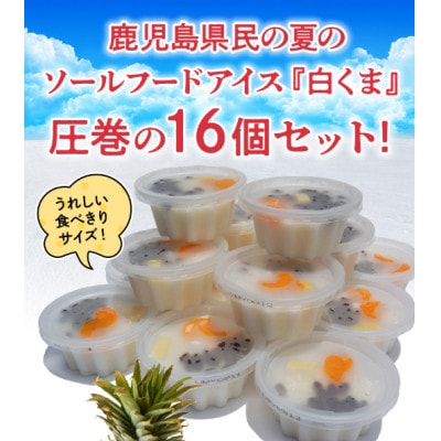 南国白くまカップ16個セット 008-78
