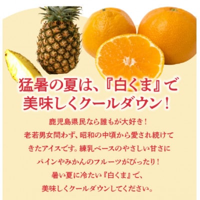 南国白くまカップ16個セット 008-78