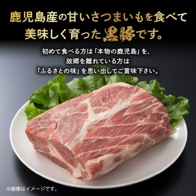 鹿児島黒豚肩ロースブロック まるごと塊のまま1.1~1.3kg 008-75