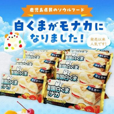 南国白くまモナカ10個セット 008-74
