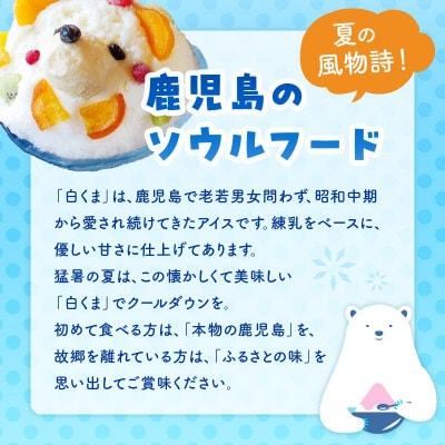 南国白くまモナカ10個セット 008-74