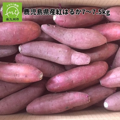 鹿児島県産紅はるか7～7.5kg 008-59