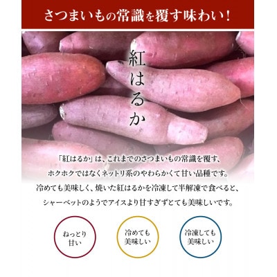 鹿児島県産紅はるか7～7.5kg 008-59
