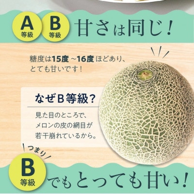 南九州市産マリオネットメロンB等級 約4.5～5kg