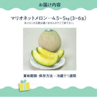南九州市産マリオネットメロンB等級 約4.5～5kg