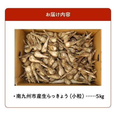 生らっきょう(小粒) 5kg