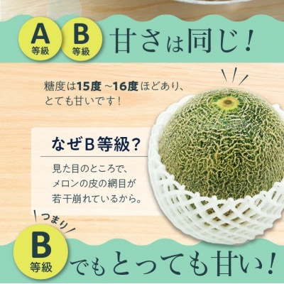 南九州市産タカミメロンB等級 約4.5～5kg