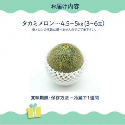 南九州市産タカミメロンB等級 約4.5～5kg