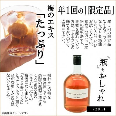 【数量限定】尾込商店「さつま寿 梅酒」720ml×1本