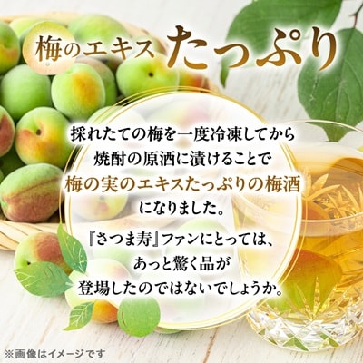 【数量限定】尾込商店「さつま寿 梅酒」720ml×1本