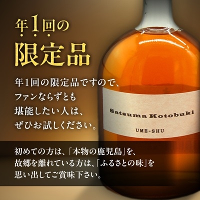 【数量限定】尾込商店「さつま寿 梅酒」720ml×1本