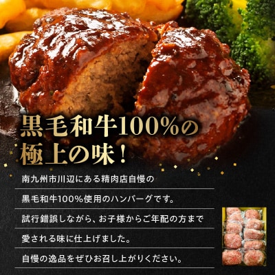 黒毛和牛ハンバーグ10個 合計 1.5kg