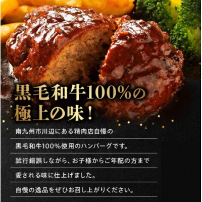 黒毛和牛ハンバーグ20個 合計 3kg