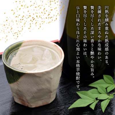 【のし付き・お中元】別撰熟成 桜島・知覧上等梅酒セット
