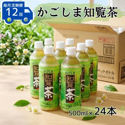 【毎月定期便】かごしま知覧茶500mlペットボトル×24本入り全12回