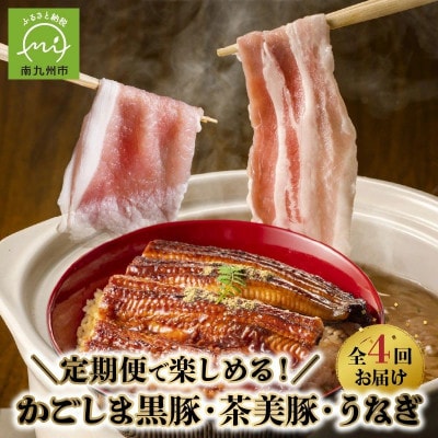 【発送月固定定期便】かごしま黒豚・茶美豚・うなぎ定期便全4回