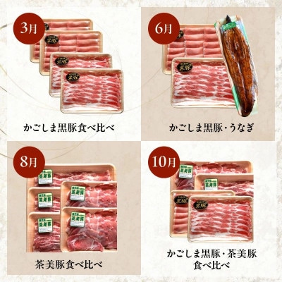 【発送月固定定期便】かごしま黒豚・茶美豚・うなぎ定期便全4回