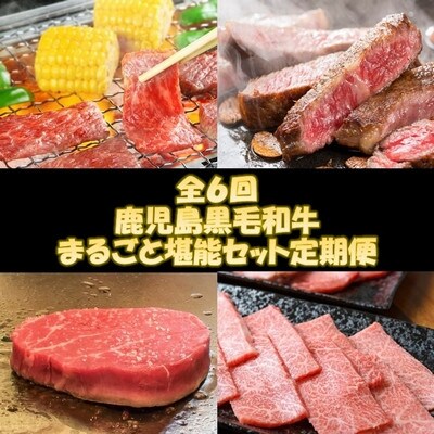 【発送月固定定期便】鹿児島黒毛和牛まるごと堪能セット定期便全6回