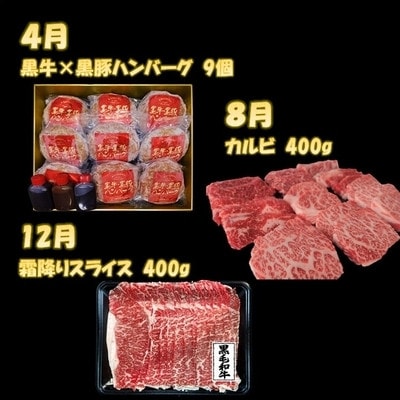 【発送月固定定期便】鹿児島黒毛和牛・黒豚堪能焼き肉、スライス、ハンバーグセット全3回