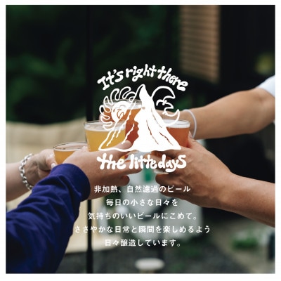 クラフトビール24本セット