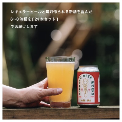 クラフトビール24本セット