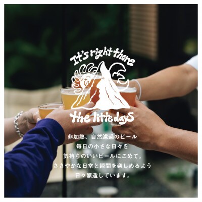 クラフトビール6本セット