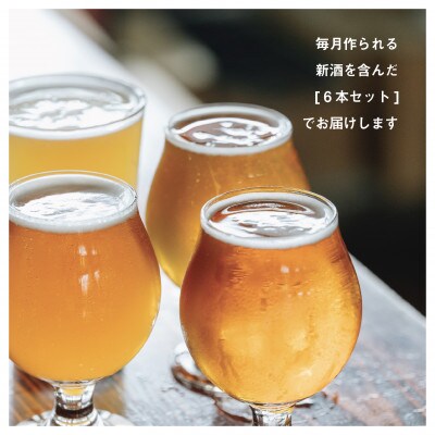 クラフトビール6本セット