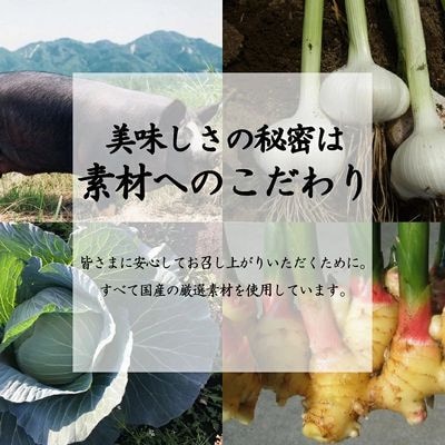国産素材にこだわった鹿児島黒豚餃子120個