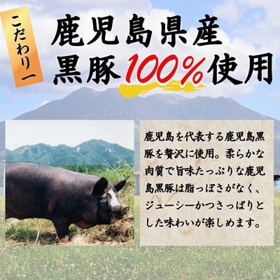 国産素材にこだわった鹿児島黒豚餃子120個