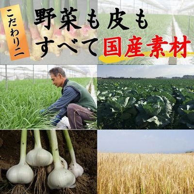 国産素材にこだわった鹿児島黒豚餃子120個