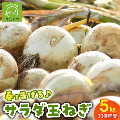春を告げるサラダ玉ねぎ5kg