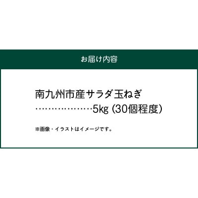 春を告げるサラダ玉ねぎ5kg