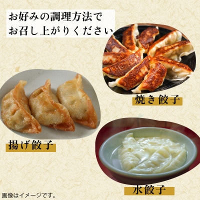 【のし付き・お中元】黒豚100%ギョウザ(10個入×8パック)