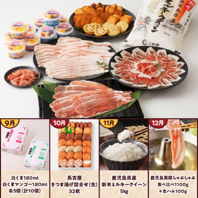 【発送月固定定期便】南九州トクトク定期便全12回