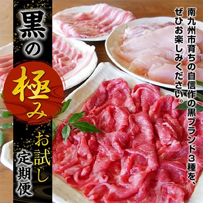 【毎月定期便】黒の極　お試し定期便全3回