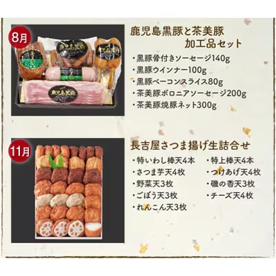 【発送月固定定期便】南九州まんぞく定期便　ライト全4回