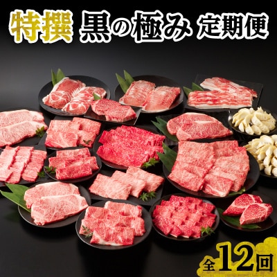 【発送月固定定期便】特選　黒の極み定期便全12回