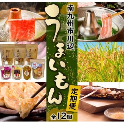 【発送月固定定期便】南九州市川辺うまいもん定期便全12回