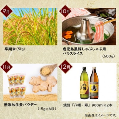 【発送月固定定期便】南九州市川辺うまいもん定期便全12回